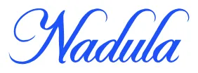Nadula 프로모션 코드